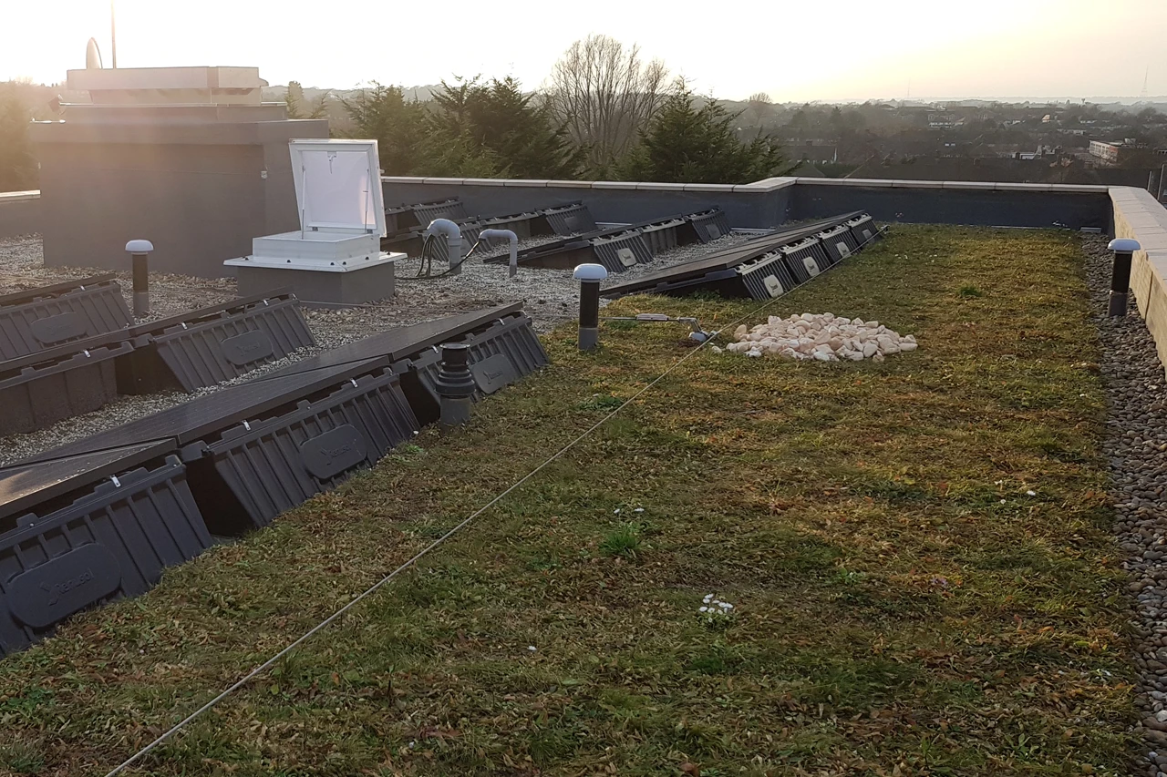 bio-diversity on building roof